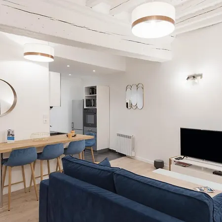 Le Nid Du Lion - Joli T2 Quartier St Georges Au Calme Apartment Lyon