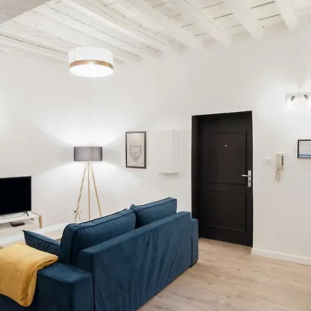 Le Nid Du Lion - Joli T2 Quartier St Georges Au Calme Apartment
