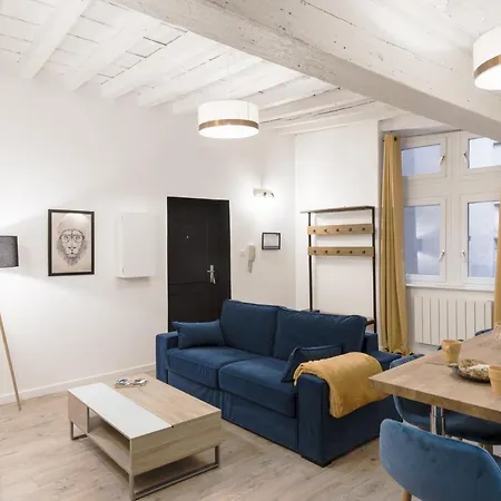 Le Nid Du Lion - Joli T2 Quartier St Georges Au Calme Apartment *